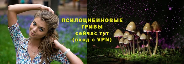 тгк Зерноград